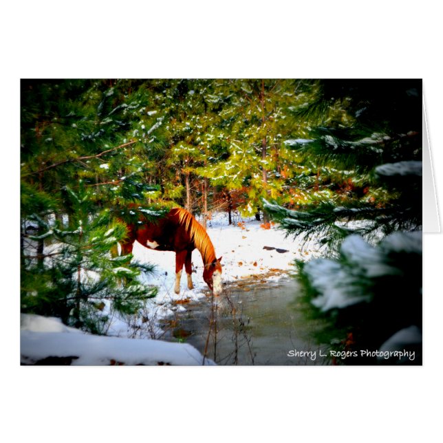 ~Buckie på den Rogers hobbyen Farm~ Hälsningskort (Framsidan Horizontal)