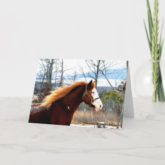 Buckie på det Rogers berg Kort