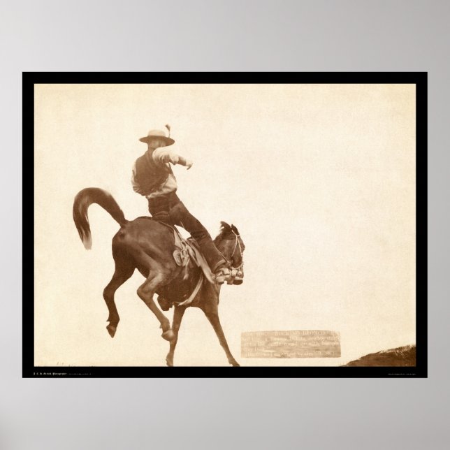 Bucking Bronco SD 1888 Poster (Framsidan)