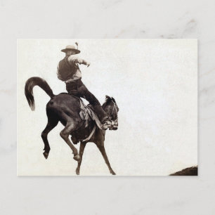 Bucking Bronco Vykort
