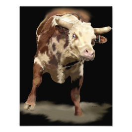 Bucking Bull Art Print Fototryck