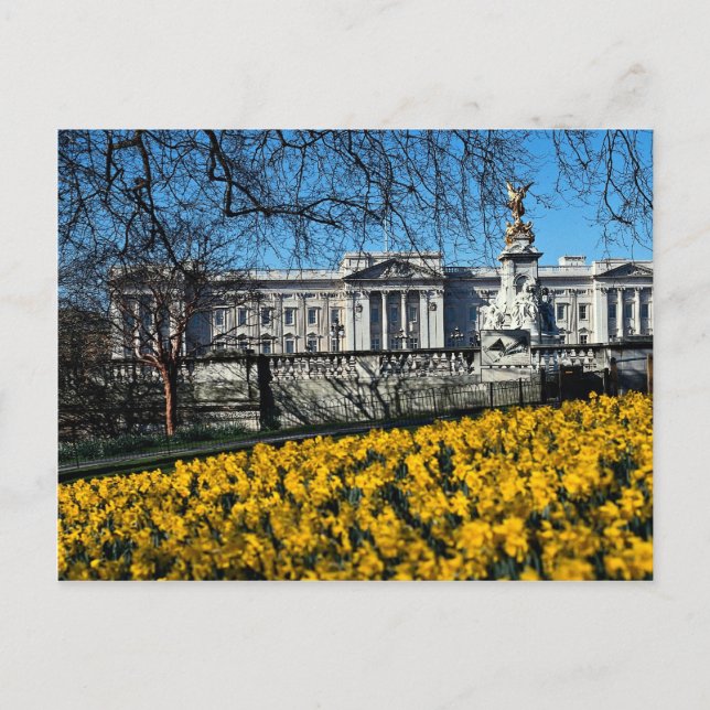 Buckingham Palace, London Vykort (Framsida)