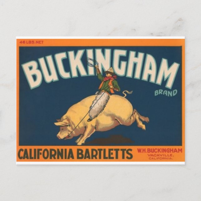 Buckingham Vykort (Framsida)