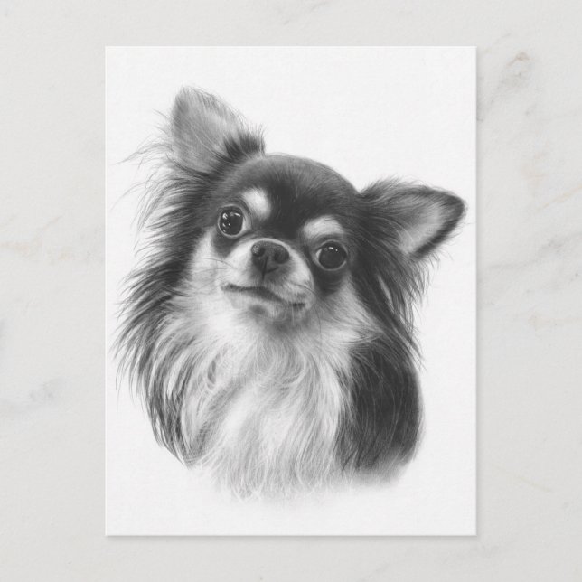 "Buckis" Hand målade Chihuahua Porträtt Vykort (Framsida)