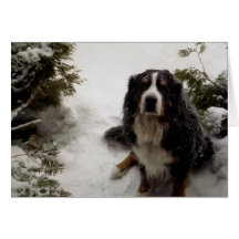 Buckminster Kärlek Snö