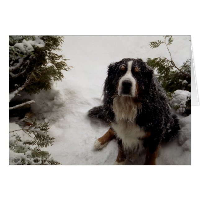 Buckminster Kärlek Snö Hälsningskort (Framsidan Horizontal)