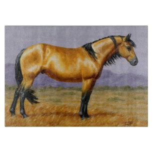 Bucksin Vild Horse Mustang Stallion