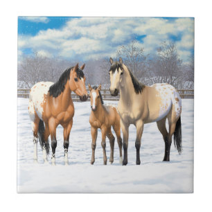 Buckskin Appaloosa-hästar i Snö Kakelplatta