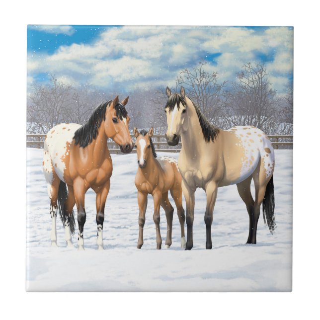 Buckskin Appaloosa-hästar i Snö Kakelplatta (Framsidan)