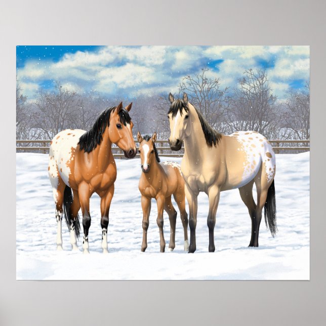 Buckskin Appaloosa-hästar i Snö Poster (Framsidan)