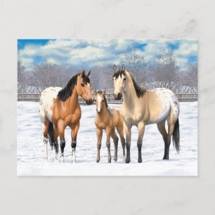 Buckskin Appaloosa Horse Family in Snö Vykort