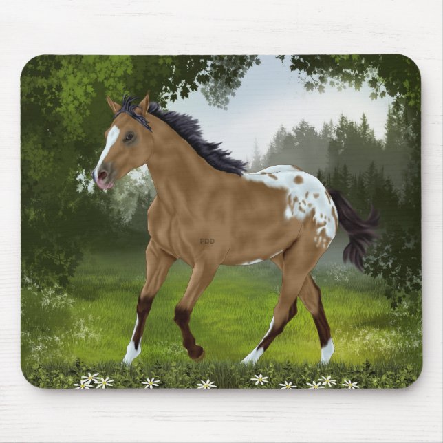 Buckskin Appaloosa Horse Musmatta (Framsidan)