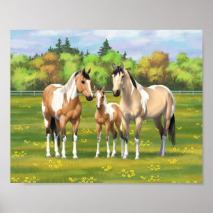 Buckskin Dun Pinto Paint Horses in Summer Pasture Poster