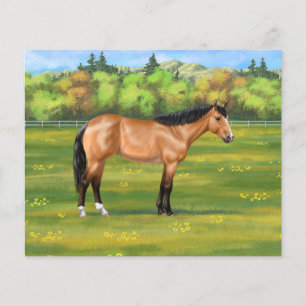 Buckskin Dun Quarter Horse