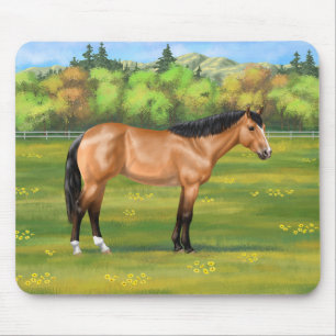 Buckskin Dun Quarter Horse Musmatta