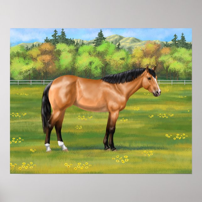 Buckskin Dun Quarter Horse Poster (Framsidan)