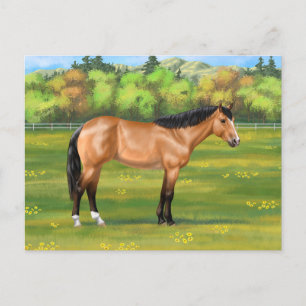 Buckskin Dun Quarter Horse Vykort