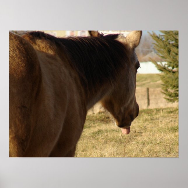 Buckskin håller ut Tunga Poster (Framsidan)