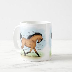 Buckskin Horse Educational Equine Anatomy Kaffemugg