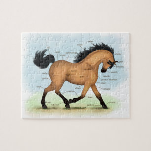 Buckskin Horse Educational Equine Anatomy Pussel