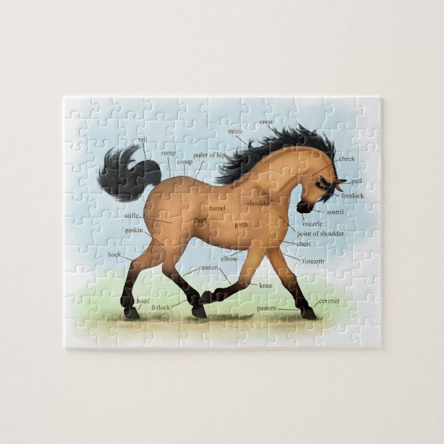 Buckskin Horse Educational Equine Anatomy Pussel (Horisontell)