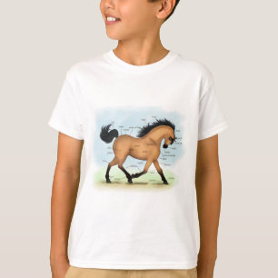 Buckskin Horse Educational Equine Anatomy T Shirt