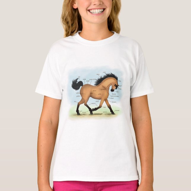 Buckskin Horse Educational Equine Anatomy T Shirt (Framsida)