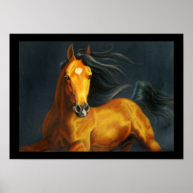 Buckskin Horse Poster (Framsidan)