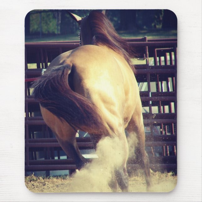 Buckskin Kicks-upp-damm Musmatta (Framsidan)