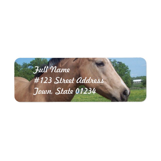 Buckskin Mustang Mailing Label Returadress Etikett (Framsidan)