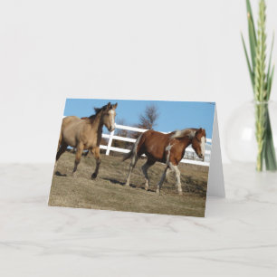 Buckskin och Paint Horse Kort