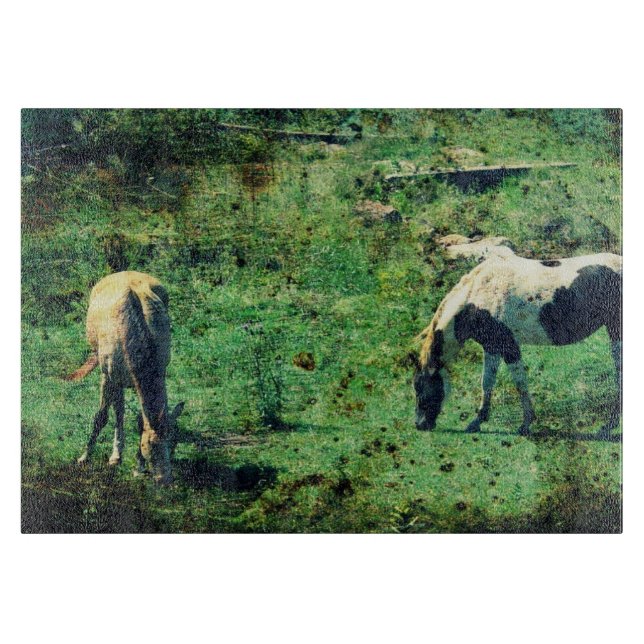 Buckskin och Pinto Grunge (Framsidan)