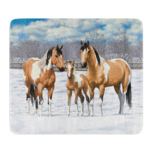 Buckskin Paint Horses i Snö