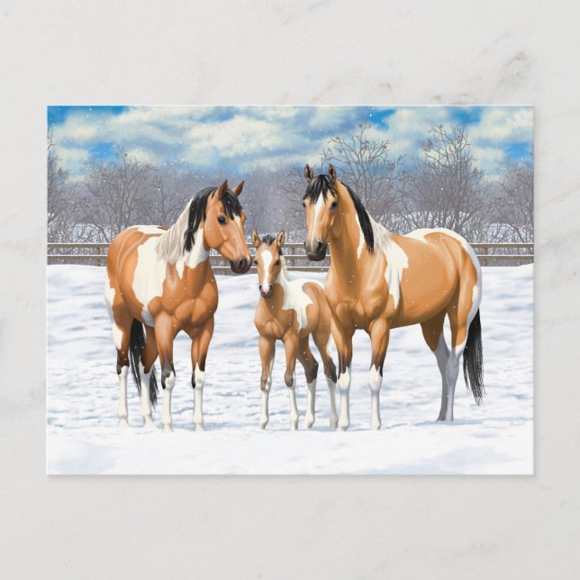 Buckskin Paint Horses i Snö Vykort (Framsida)