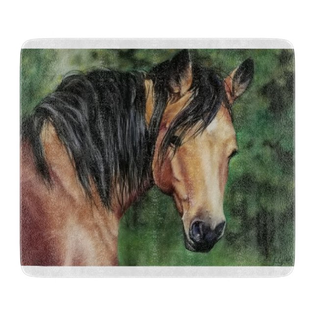 Buckskin Quarter Horse mare (Framsidan)