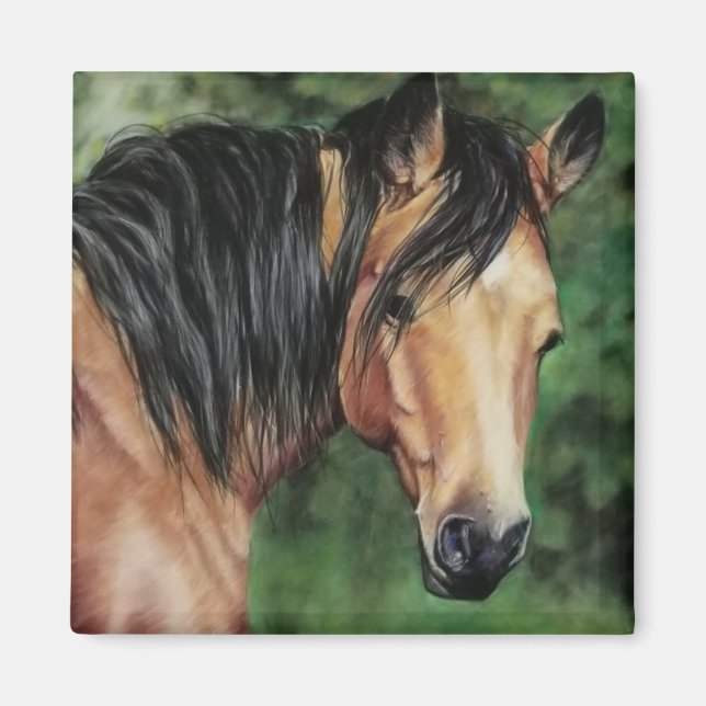 Buckskin Quarter Horse mare Magnet (Framsidan)