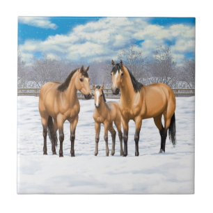Buckskin Quarter Horses i Snö Kakelplatta