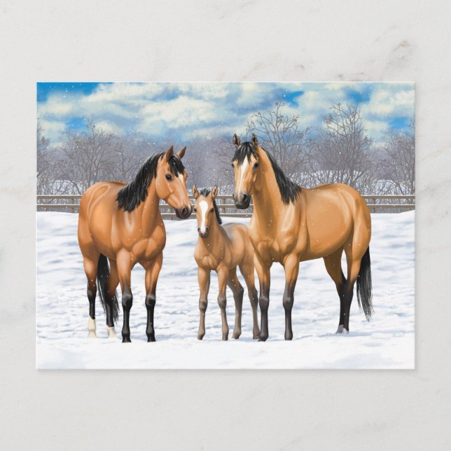 Buckskin Quarter Horses i Snö Vykort (Framsida)