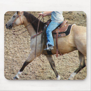 Buckskin Rodeo Horse Musmatta