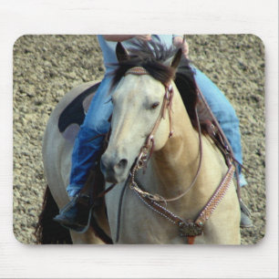 Buckskin Rodeo Horse Musmatta