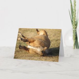 Buckskin Roll, vänner Kort