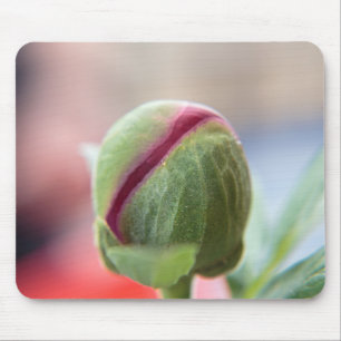 Bud av Peony/Pnagstrosen Musmatta