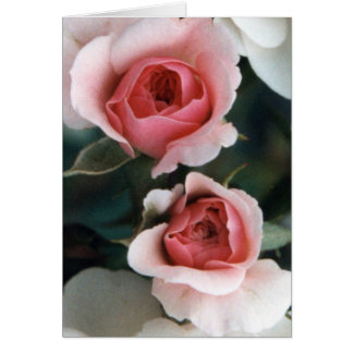 Bud blir blommar hälsningskort