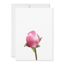 Bud för Blommar av äpple