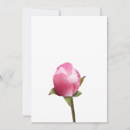 Bud för Blommar av äpple Julkort