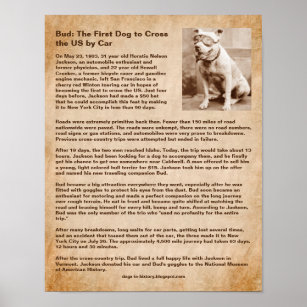 Bud, första Hund till Kor, USA med bil Poster