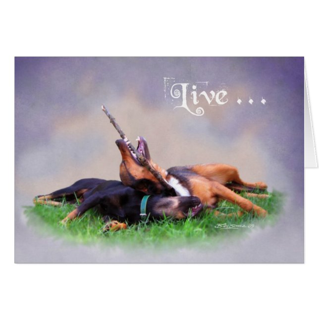 Bud & Gabby Hälsningskort (Framsidan Horizontal)