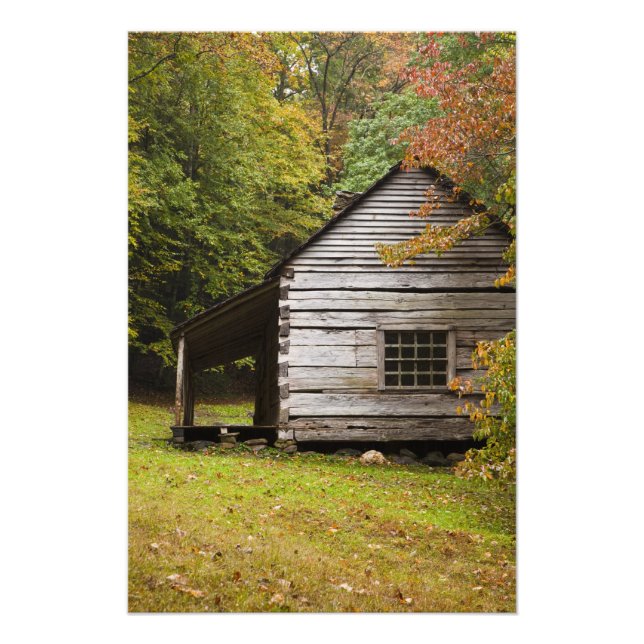 Bud Ogle House, Great Smoky Mountains National Fototryck (Framsidan)