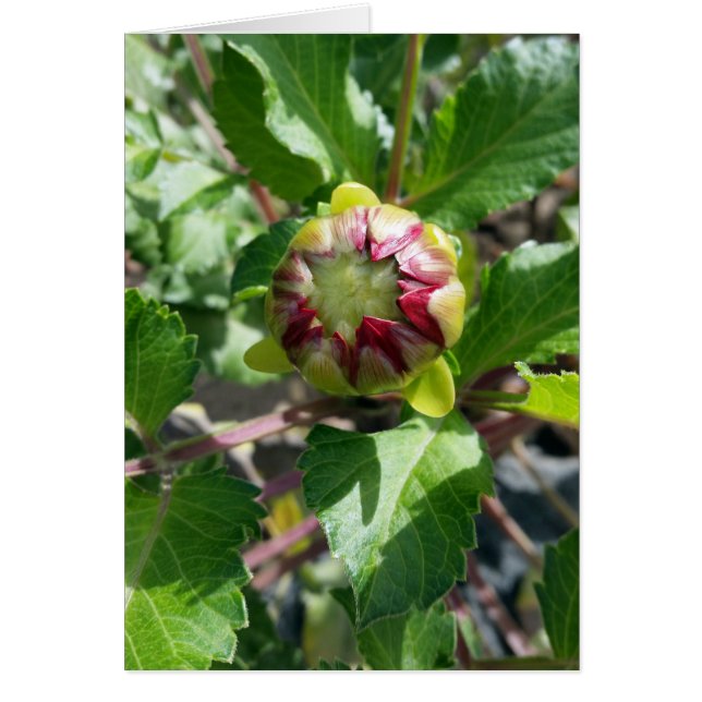 bud på hösten hälsningskort (Framsidan)