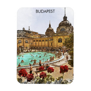 Budapest Hungary Széchenyi Thermal Baths Magnet